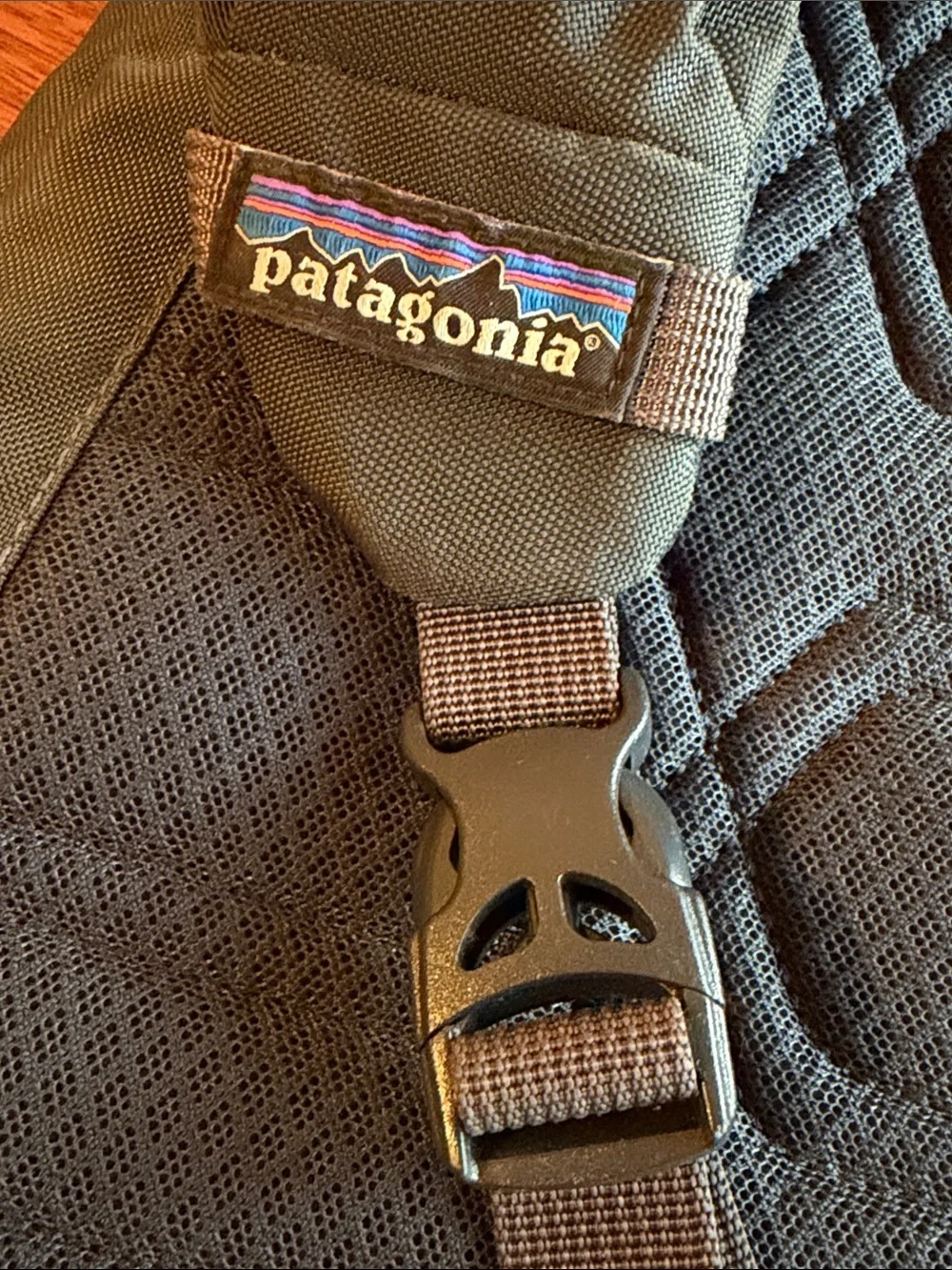 Patagonia compact sling